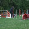 agility 2011-04